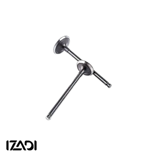 سوپاپ دود X33 Cross - 110S - X22 - X22 Pro کد فنی 371-1007011